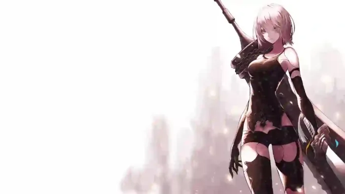 2b Nier Automata2