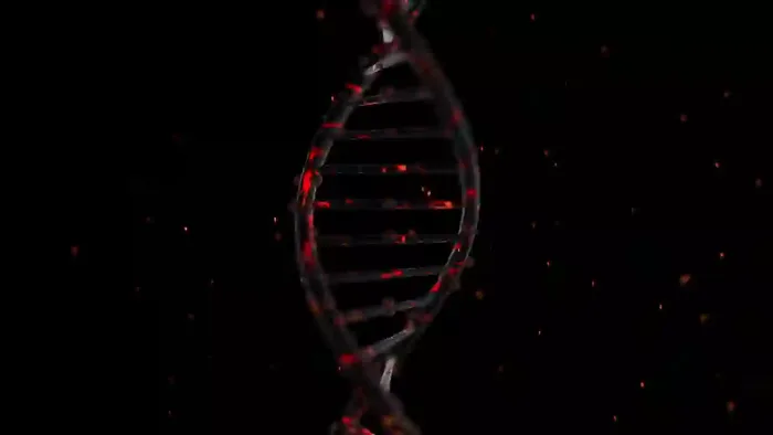 Abstract Dna