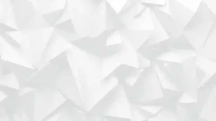 Abstract Geometric