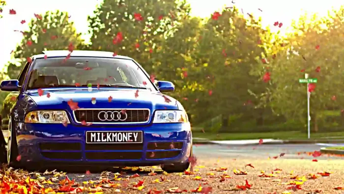 Audi S4 In Autumn