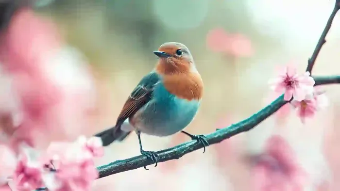 Bird On Branch