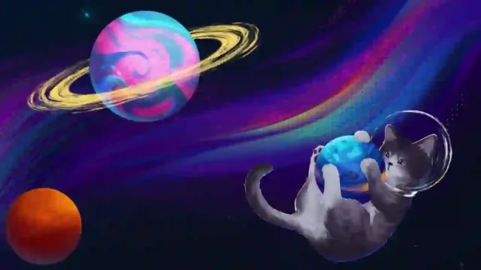 Cat In Space