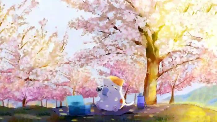 Cat Near Sakura