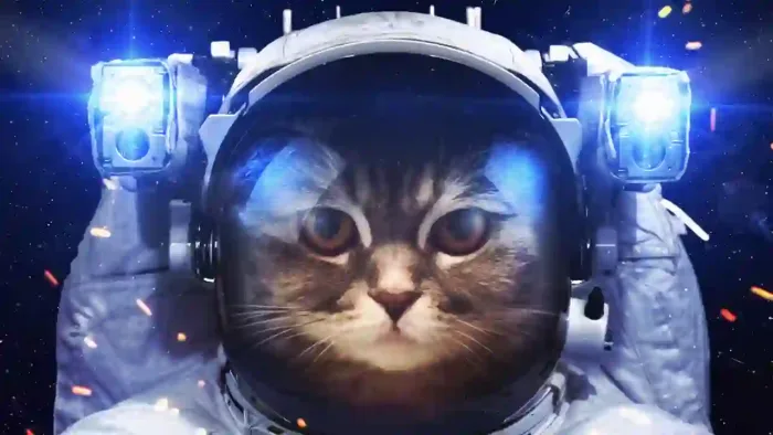 Spacecat